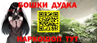 индика Жуковский