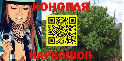 индика Жуковский