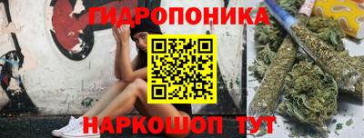 индика Жуковский
