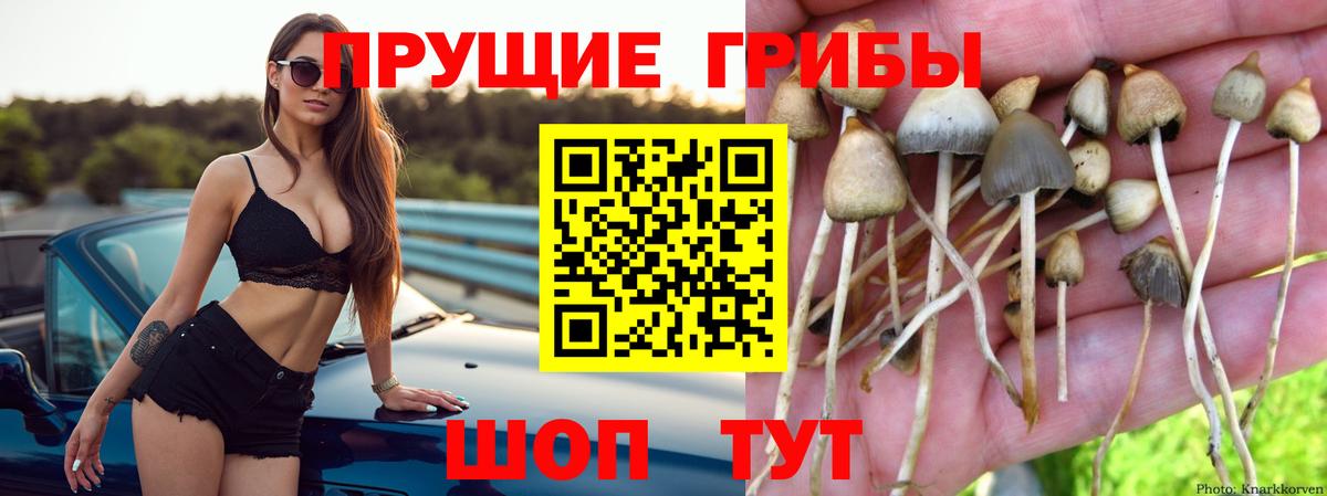 Галлюциногенные грибы GOLDEN TEACHER Биробиджан